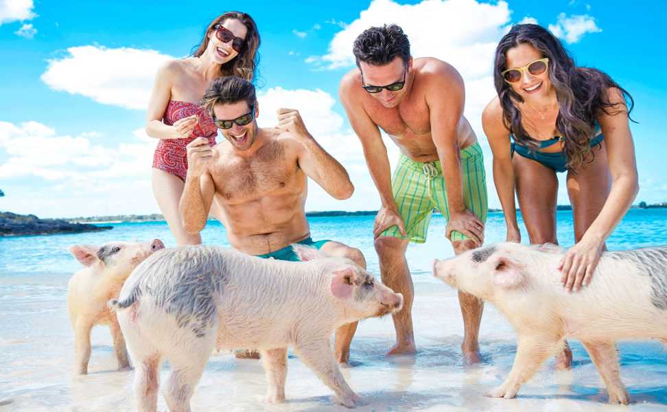 swimming with pigs bahamas