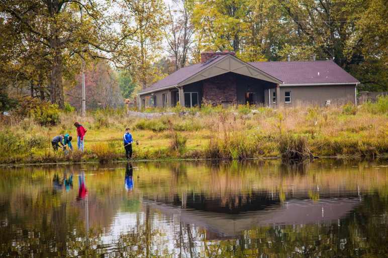 Indulge In Some Greenery At Swamp Nature Center