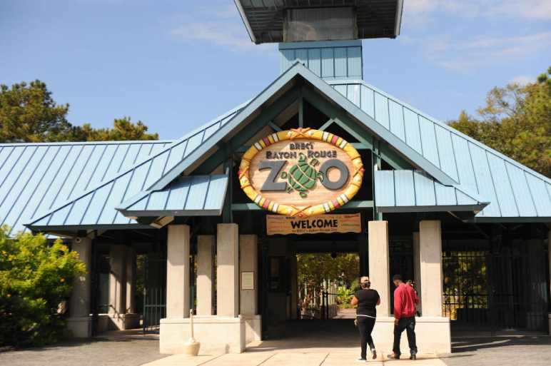 Go To Baton Rouge Zoo