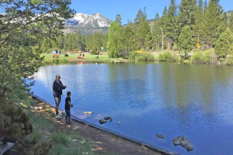 Catch Fish At The Tahoe Trout Farm 