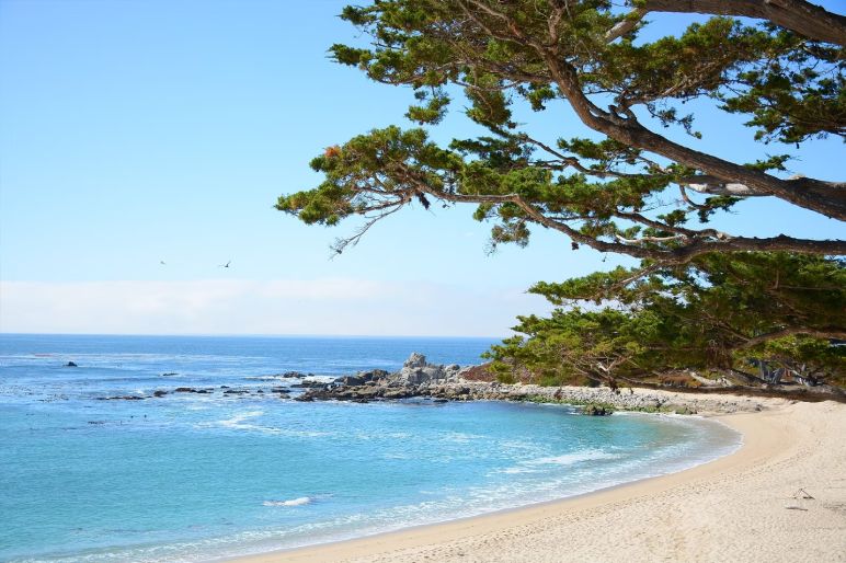 Relax on Monterey's Beautiful Beaches